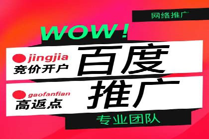 不同平台的信息流广告投放策略及成功案例对比